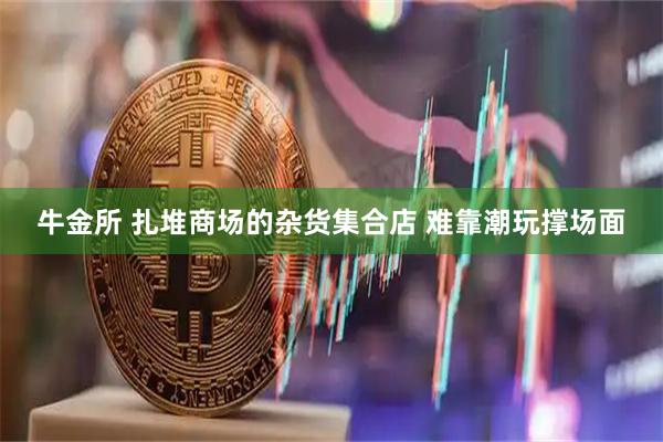 牛金所 扎堆商场的杂货集合店 难靠潮玩撑场面