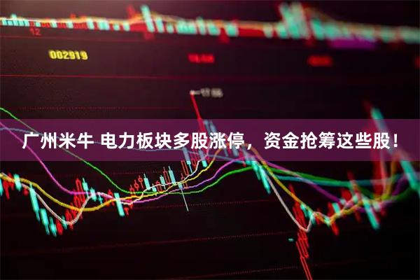 广州米牛 电力板块多股涨停，资金抢筹这些股！