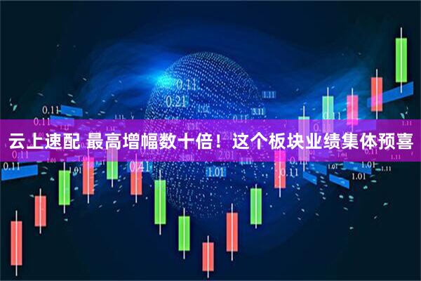 云上速配 最高增幅数十倍！这个板块业绩集体预喜