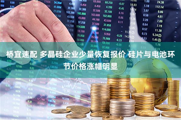 桥宜速配 多晶硅企业少量恢复报价 硅片与电池环节价格涨幅明显