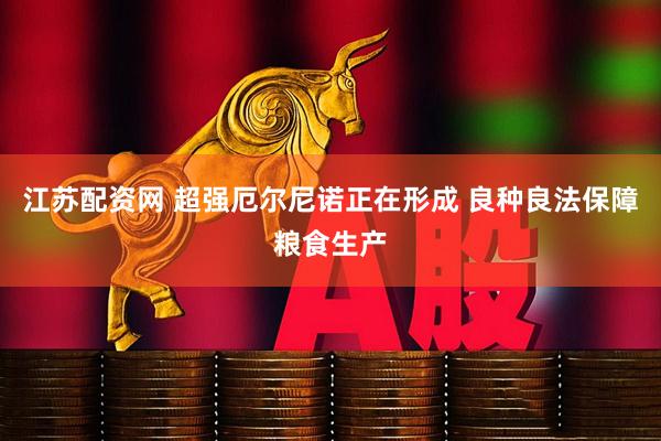 江苏配资网 超强厄尔尼诺正在形成 良种良法保障粮食生产